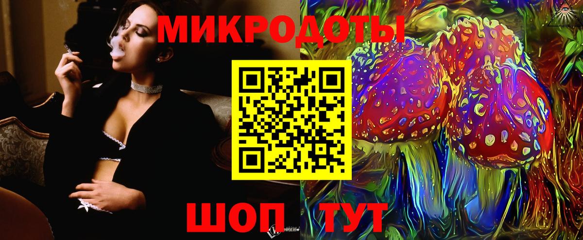 Владимир  Галлюциногенные грибы прущие грибы  что такое   Вход с VPN 