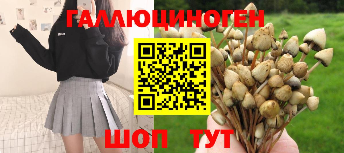 Псилоцибиновые грибы ЛСД Владимир